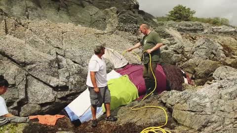 Orca Got Stuck and Cried for Hours. When Rescuers Arrived, Something Incredible Happens