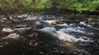 PEACE & RELAXATION @ Silver Creek! | Trail of Ten Falls | Silver Falls State Park | Oregon | 4K