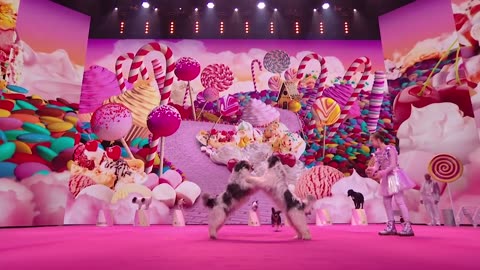 The SWEETEST dog act ever on Britain's Got Talent: The Champions