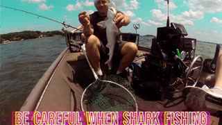 Shark Attacks Fisherman