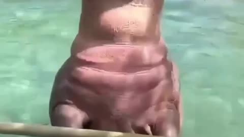 Hippo doing a backflip