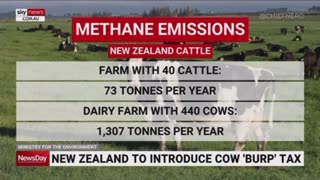 New Zealand will be the first country to introduce a tax on farmers for belching