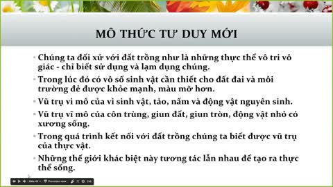 8. Hội Thao Công Cộng Plasma Việt Nam 8