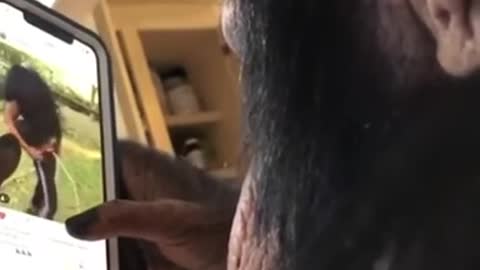 A smartphone using ape