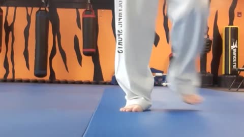 Tong Hap Kwan Hapkido Kicking Techniques