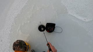 Ice Fishing Saylorville backwaters