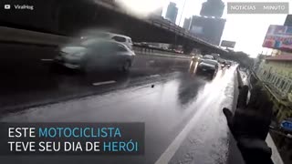 Filhote de gato é resgatado em autoestrada por motociclista