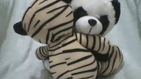 Tudo o que você precisa é de um abraço, panda de pelúcia abraça o tigre com amor [Nature & Animals]