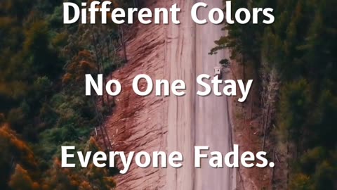 Embracing Diversity: Different People, Different Colors #motivation #divinehealer #thehappysoul
