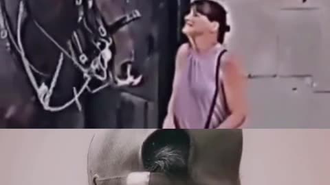 Horse Reaction to a Disabled Woman #humanity #memes #trending