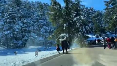 snow ifrane