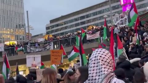 Speaker at the anti-Israel protest in Stockholm accusing Swedish PM of Kidnapping