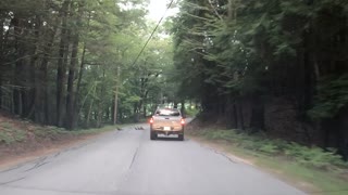 Turkey's in the road