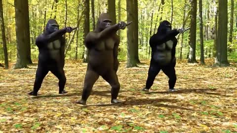 Gorilla Dance Song