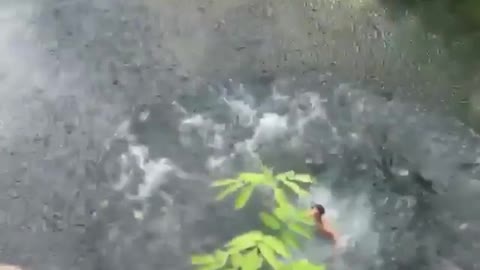 Double gainer back flip belly flop from cliff