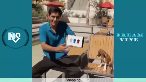 Zach King Magic Vines Compilation Best Zach King Magic Tricks