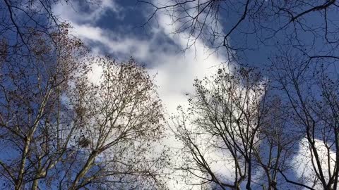 Blue sky in March