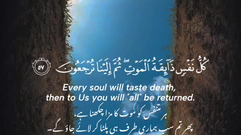 Beautiful Tilawat e Quran Pak