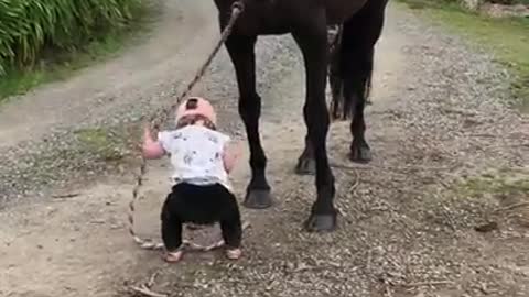 Little girl leads horse