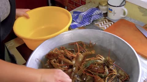 How a Woman Lives in a remote village in Ukraine! We catch and cook Crayfish