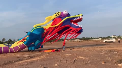 Surprised to see a giant dragon-shaped kite never seen before.