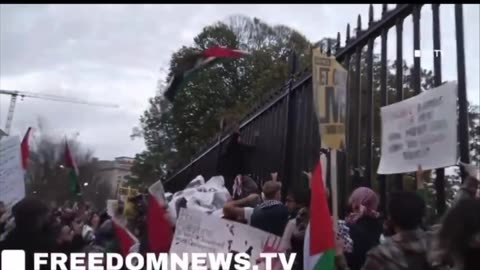 Meanwhile. Happening outside the White House