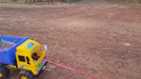 Pugs Hitch Their Wagon To A Bike And Enjoy The Bumpy Ride