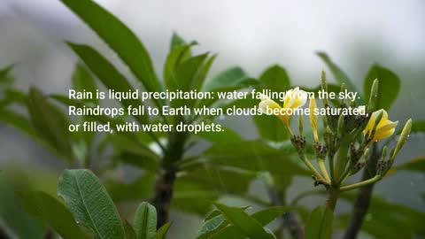 Rain is liquid precipitation: water falling from the sky.