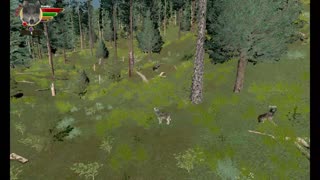 WolfQuest AE Elk Round Challenge - 09