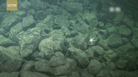 Chinese research vessel returns home with valuable deep-sea specimens