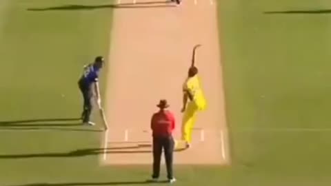 fans-video cricket lovers-video #cricket #cricketlover