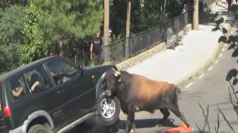 Bull Destroys 4x4 Vehicle During Festivities