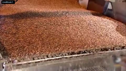 Chocolate _how_to_made_for_#people's
