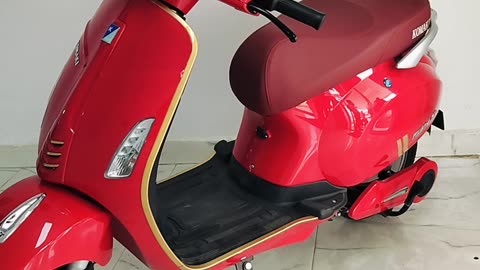 Electric scoter