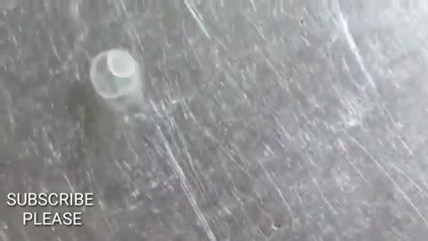 Parasite found under water footage