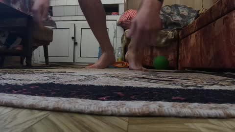 DAY 21 FROM 30 DAYS PUSHUP CHALLENGE