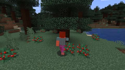 Minecraft 1.17.1_Shorts Modded 2nd time_Outting_10