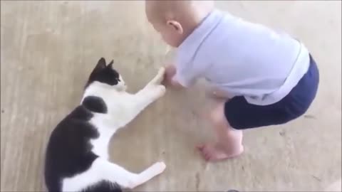 🐱👶 Funny Cats Playing With Babies Compilation🐈 Adorable Babies Playing With Cats Funny Animals