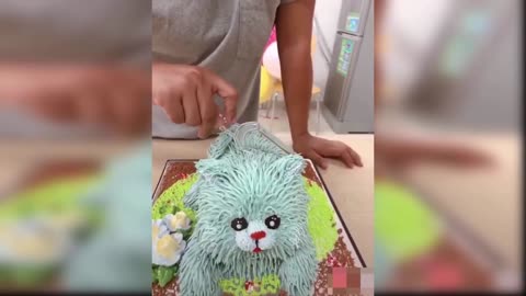 Dogs and Cats Reaction to Cutting Cake - Funny Dog Cake Reaction