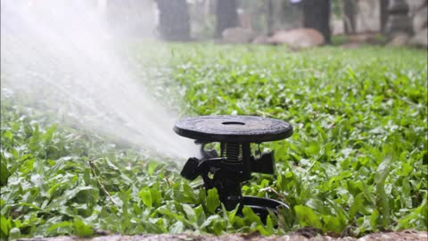 Dynamic Sprinklers - (832) 241-9194