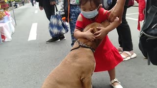 Little Girl Isn't Ready to Leave Dog