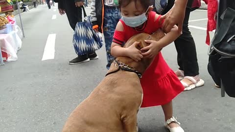 Little Girl Isn't Ready to Leave Dog