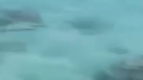 The sound of a whale crying