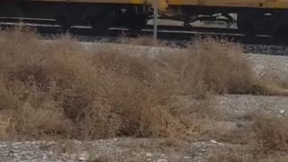 Green River, Wyoming: Train Transporting Huge Number of Military Vehicles