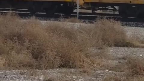 Green River, Wyoming: Train Transporting Huge Number of Military Vehicles