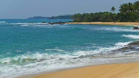 Beach Love - Nice Ocean Waves