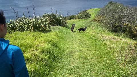 Hiking with the girls in New Zealand