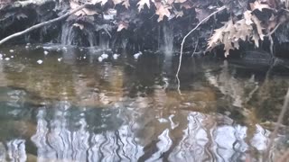 Water brook sound