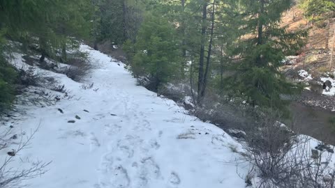 Hiking Deschutes National Forest Along Whychus Creek – Central Oregon