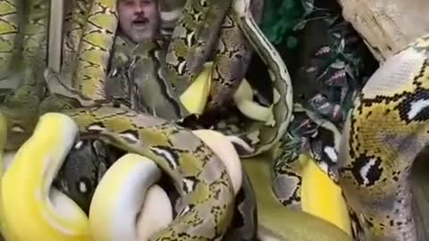 A man live with dangrouse snake without any fear